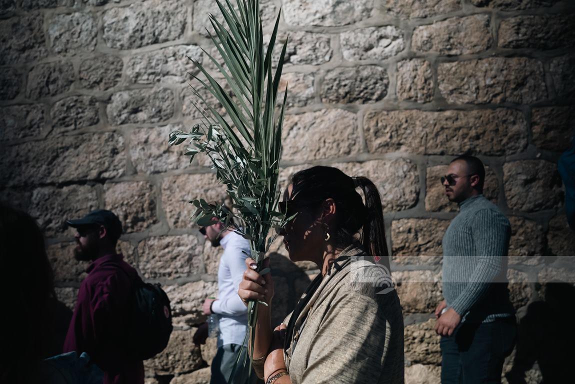 تصوير - عفيف عميرة/وفا